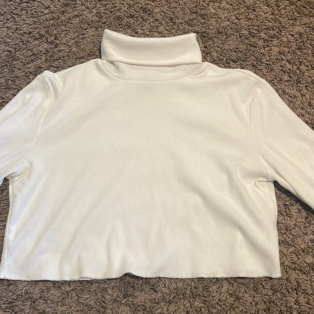 cropped turtle neck